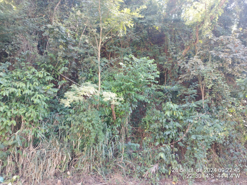 Imagem do imóvel LOTE 001 Lote, Residencial, Vale do Sol
