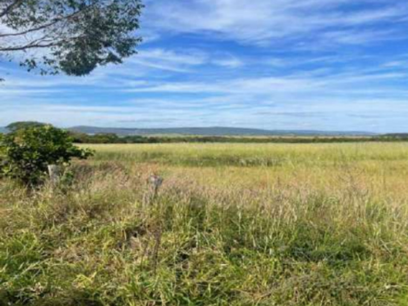 LOTE 009 Fazenda, Rural, Zona Rural, localizado em Caldas Novas - GO