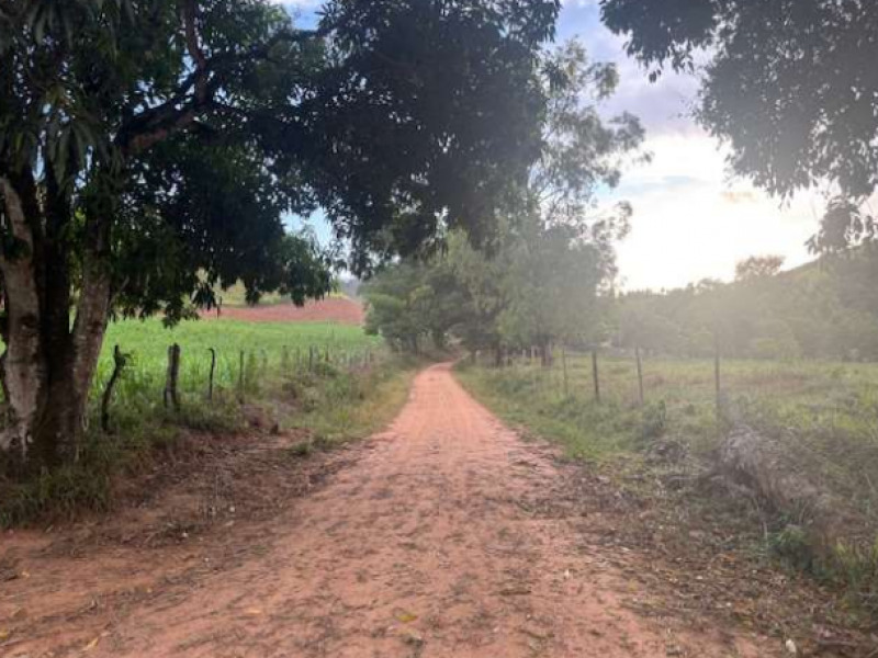 LOTE 019 Fazenda, Rural, Lugar denominado Barra do Córrego Santo Antônio Zona Rural de Tombos, localizado em Tombos - MG