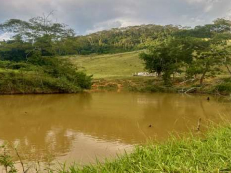 LOTE 019 Fazenda, Rural, Lugar denominado Barra do Córrego Santo Antônio Zona Rural de Tombos, localizado em Tombos - MG