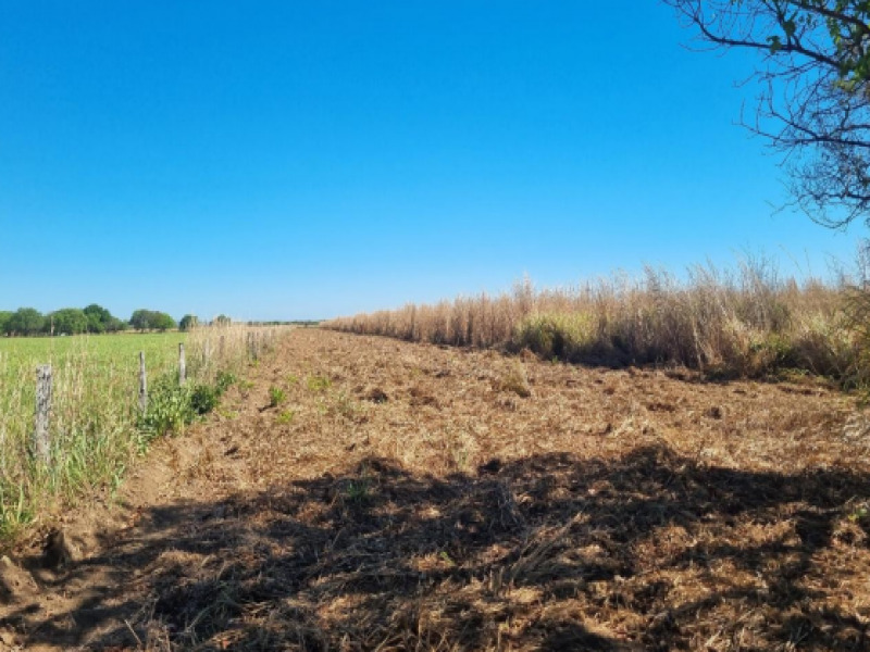 LOTE 030 Lote, Rural, Polo de Fruticultura Irrigada São João, localizado em Porto Nacional - TO, bairro Loteamento Córrego Prata Polo de Fruticultura Irrigada São João