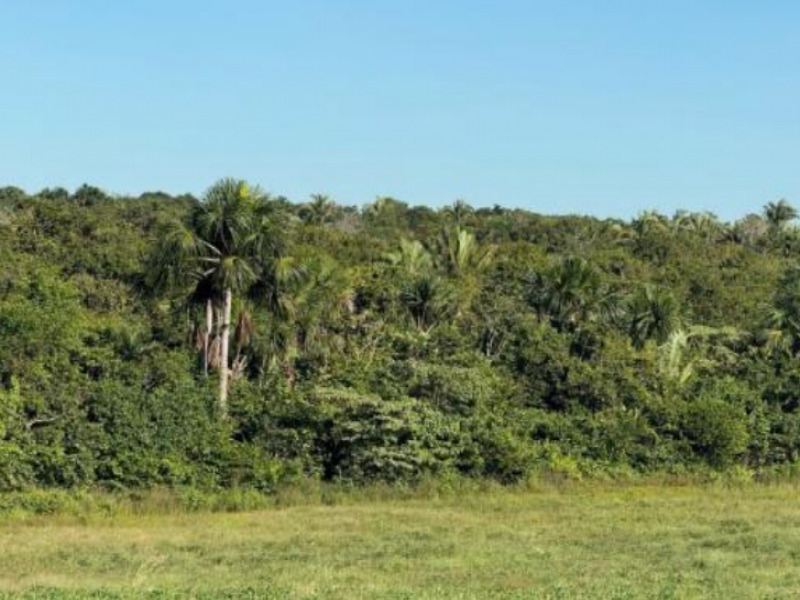 LOTE 029 Fazenda, Rural, Zona Rural, localizado em Goianorte - TO