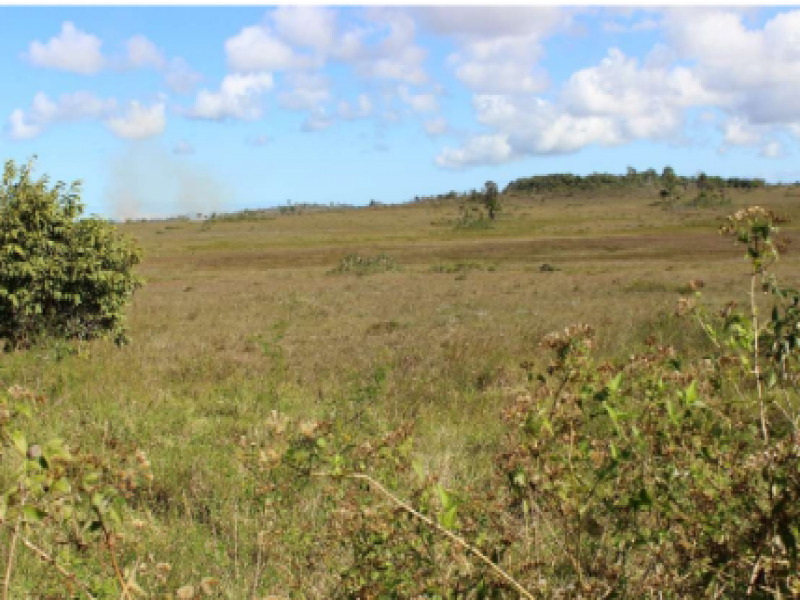 LOTE 001 Área, Rural, Fazenda Jaqueira, localizado em Camaçari - BA
