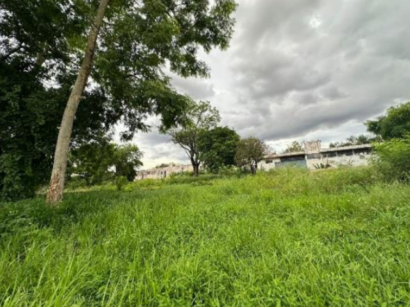LOTE 017 Prédio, Comercial, Campos Elíseos, localizado em Ribeirão Preto - SP, bairro Campos Elíseos
