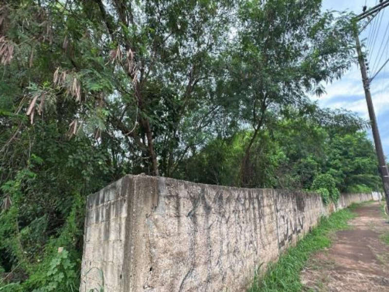 LOTE 017 Prédio, Comercial, Campos Elíseos, localizado em Ribeirão Preto - SP, bairro Campos Elíseos