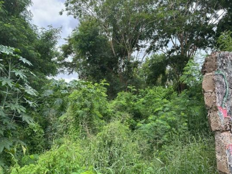 LOTE 017 Prédio, Comercial, Campos Elíseos, localizado em Ribeirão Preto - SP, bairro Campos Elíseos