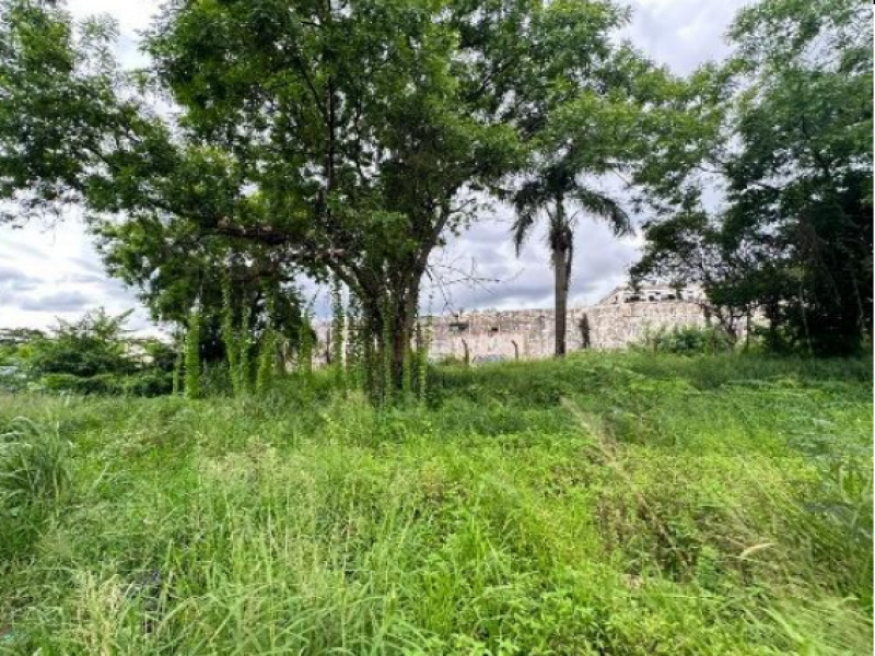 LOTE 017 Prédio, Comercial, Campos Elíseos, localizado em Ribeirão Preto - SP, bairro Campos Elíseos