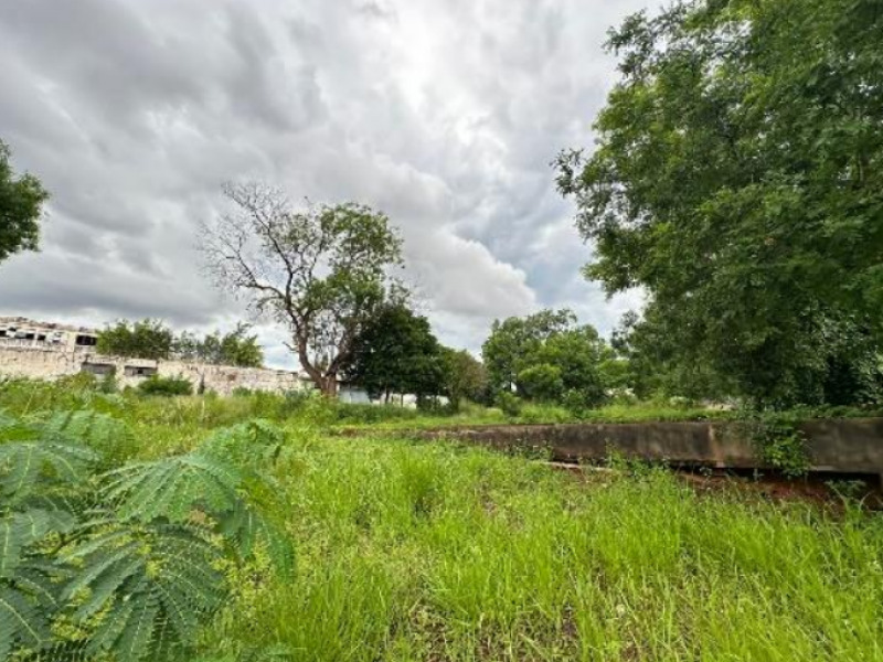 LOTE 017 Prédio, Comercial, Campos Elíseos, localizado em Ribeirão Preto - SP, bairro Campos Elíseos