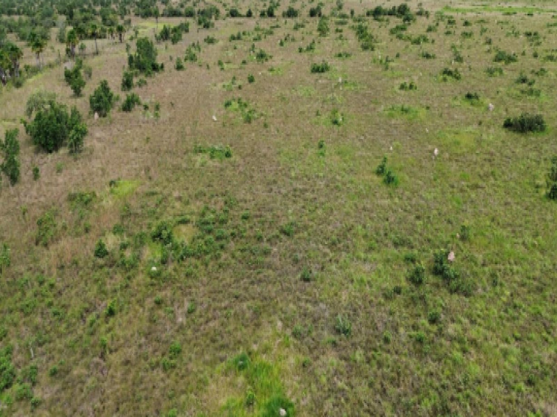 LOTE 009 Fazenda, Rural, Zona Rural, localizado em São Félix Do Araguaia - MT