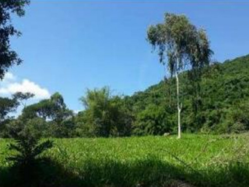 LOTE 012 Chácara/Sítio, Rural, Firminada, localizado em Monte Sião - MG, bairro Firminada