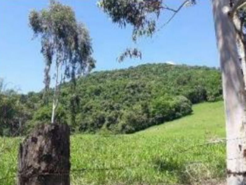 LOTE 012 Chácara/Sítio, Rural, Firminada, localizado em Monte Sião - MG, bairro Firminada