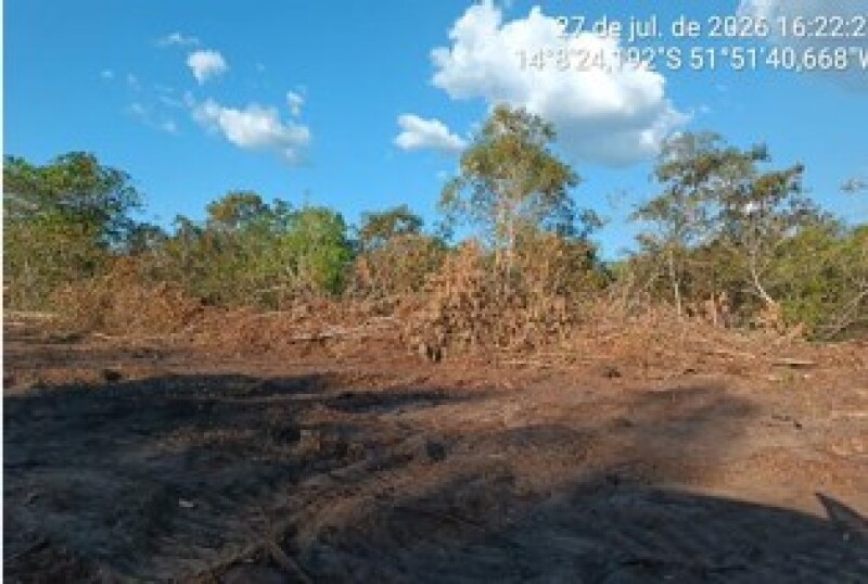 Gleba (foto 14 de 22)