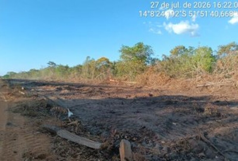 Gleba (foto 15 de 22)