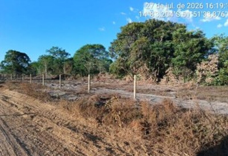 Gleba (foto 18 de 22)