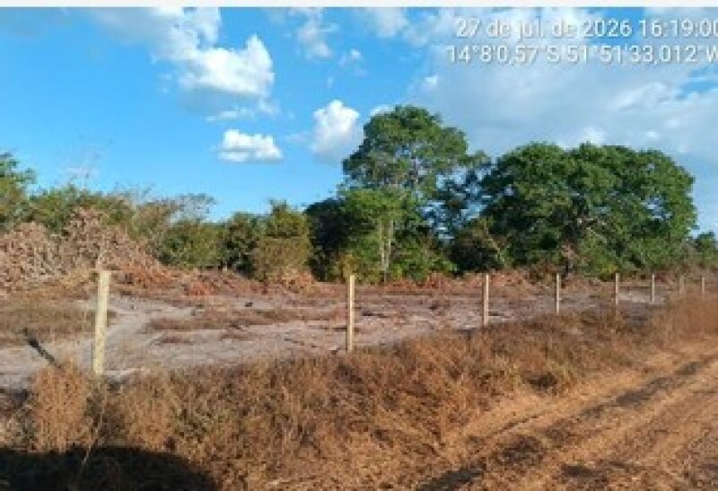 Gleba (foto 20 de 22)
