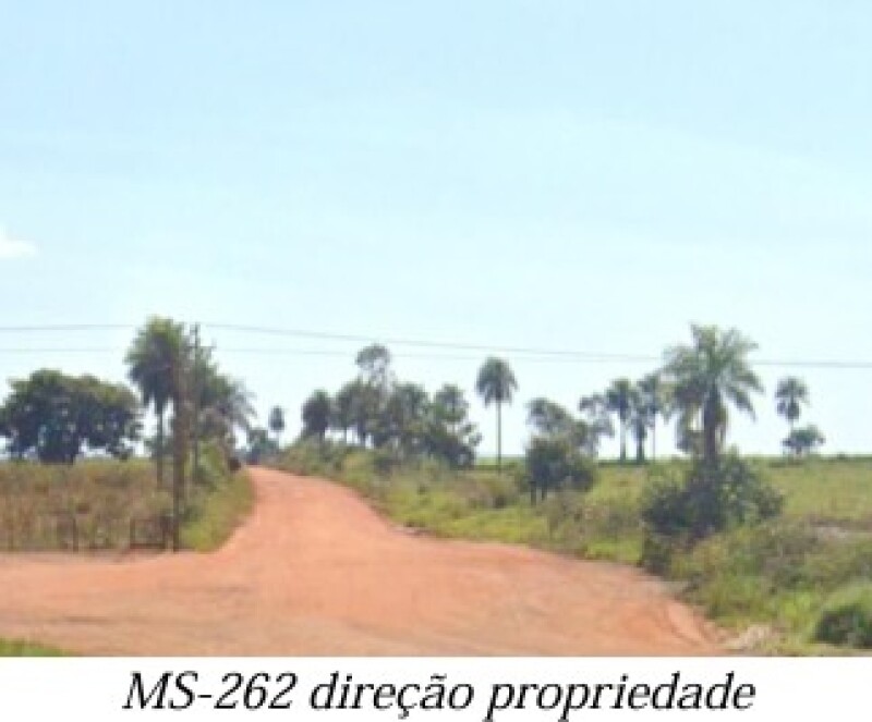 Gleba (foto 3 de 13)