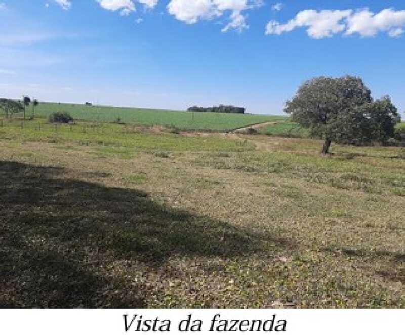 Gleba (foto 4 de 13)