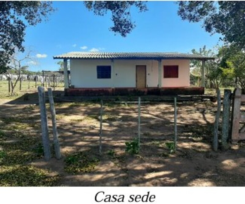 Gleba (foto 5 de 13)