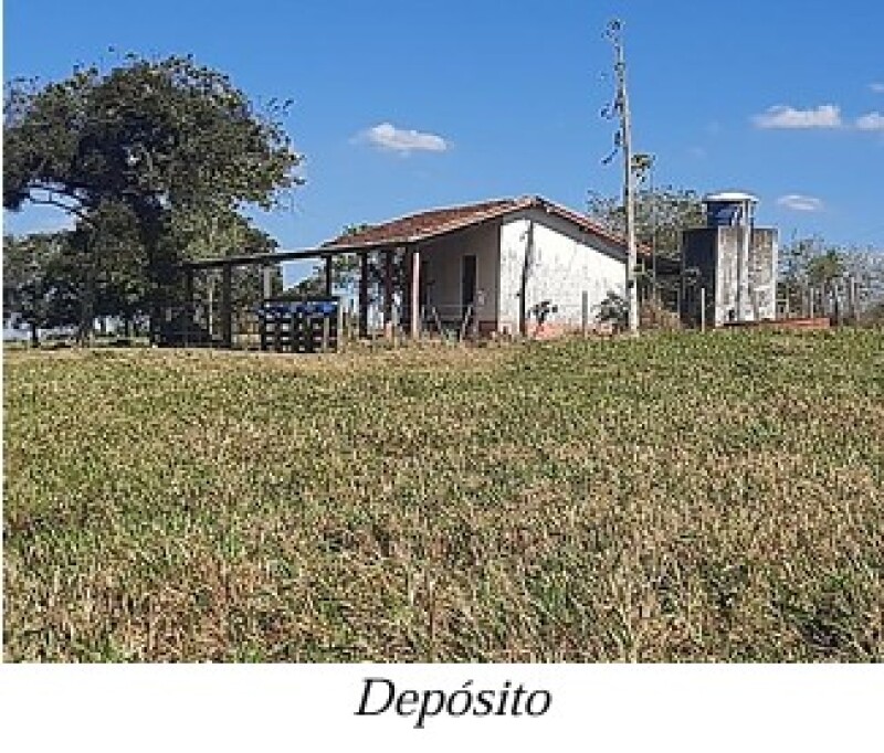 Gleba (foto 6 de 13)