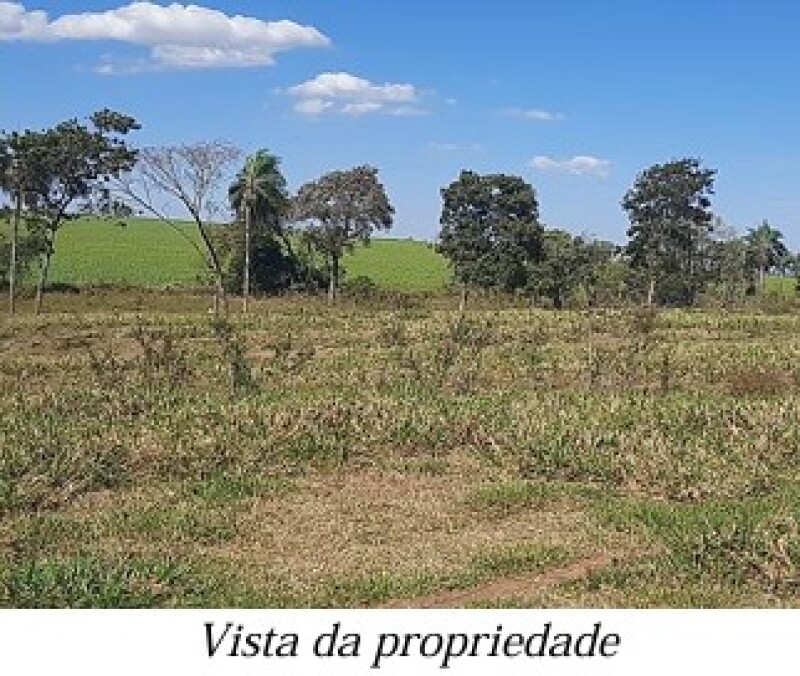 Gleba (foto 8 de 13)