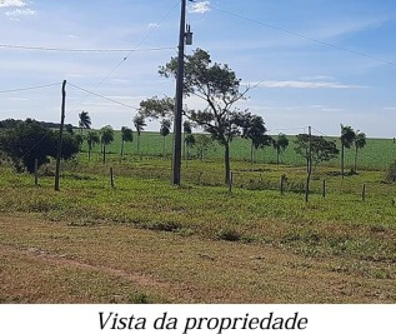 Gleba (foto 9 de 13)
