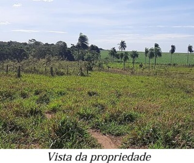 Gleba (foto 10 de 13)