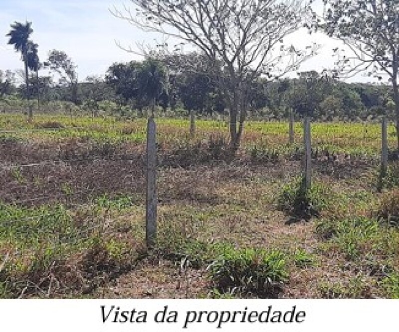 Gleba (foto 12 de 13)