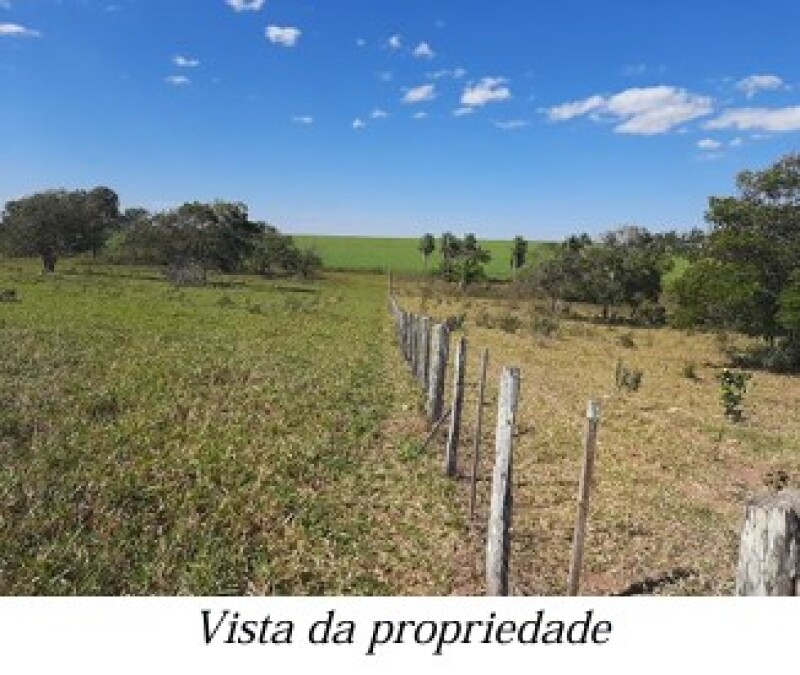 Gleba (foto 13 de 13)