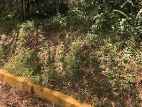 Terreno no Praia do Félix (foto 2 de 7)
