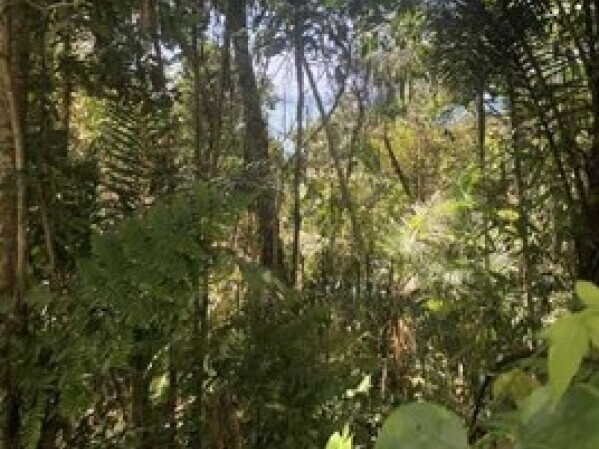 Terreno no Praia do Félix (foto 4 de 7)