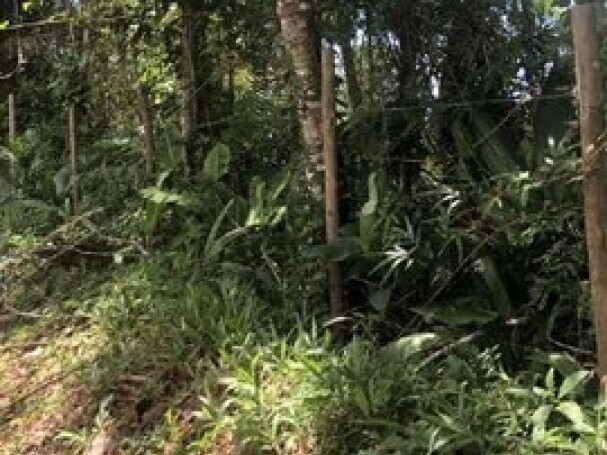 Terreno no Praia do Félix (foto 5 de 7)
