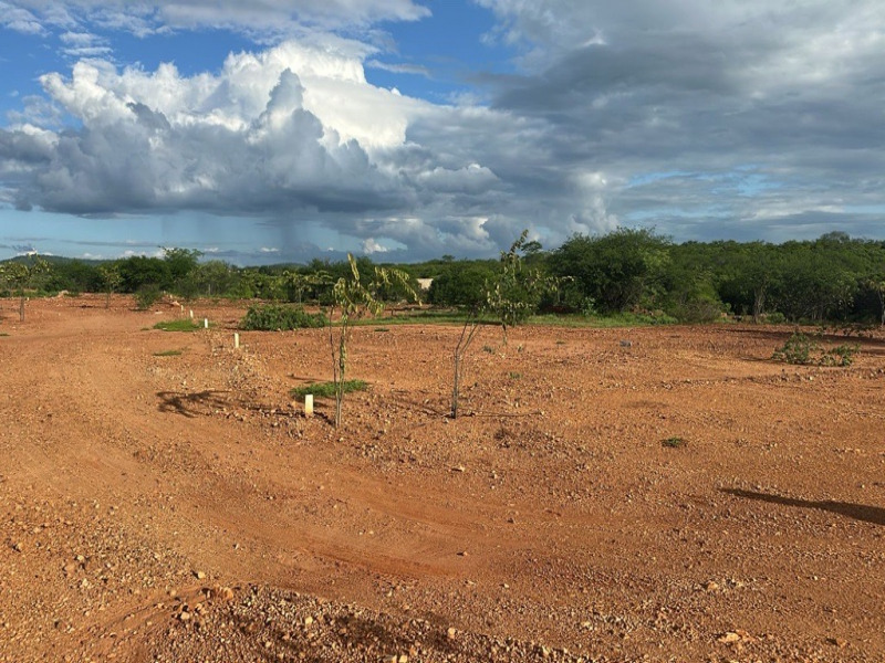 Imagem do imóvel LOTE 005 Lote, Residencial, Carnaíba Velha