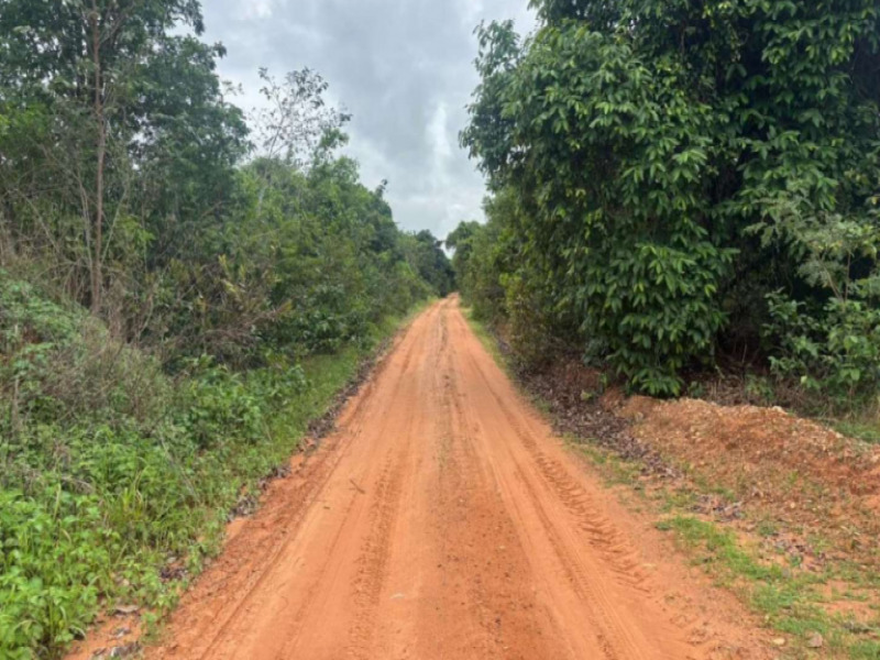 Gleba no Rural (foto 6 de 8)