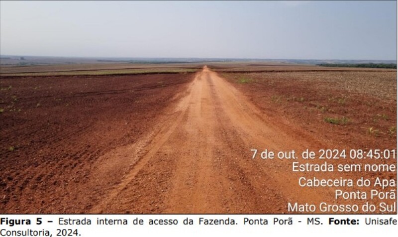 Gleba (foto 4 de 7)