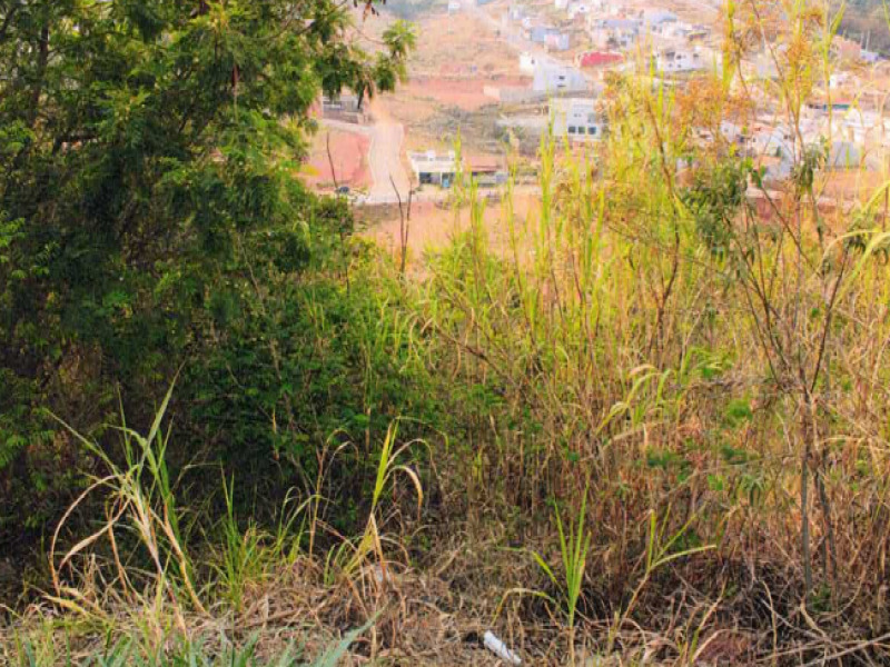 Terreno no Loteamento Larez (foto 3 de 3)