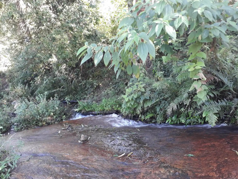 Gleba no Luminosa (foto 20 de 22)