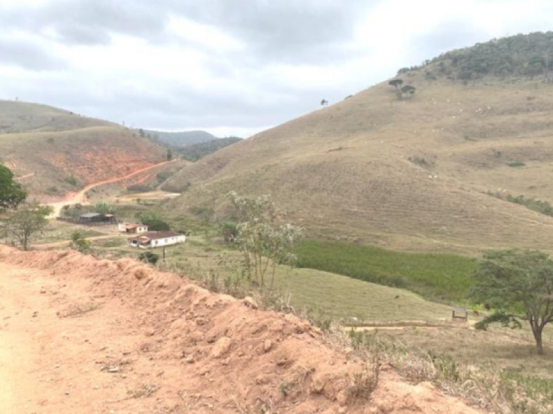 Foto 14 de 17: Fazenda, Rural, N/A