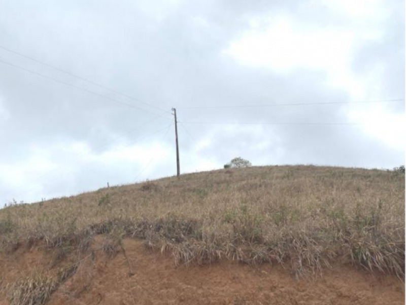 Foto 15 de 17: Fazenda, Rural, N/A