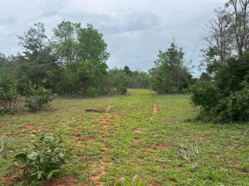 Fazenda, Rural, Rural — foto principal